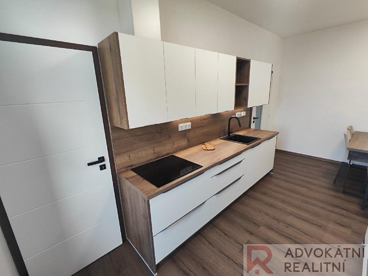 Pronájem bytu 1+1 53 m² - foto 2