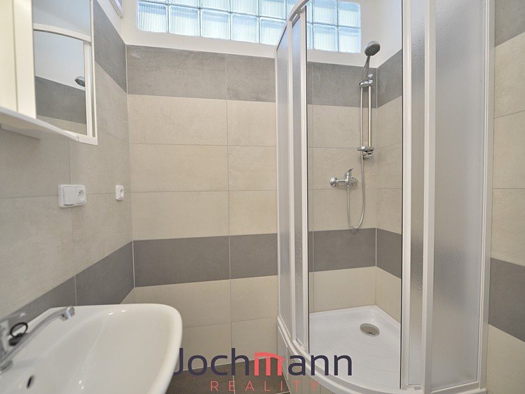 Pronájem bytu 2+1 52 m² - foto 4