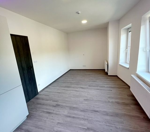 Pronájem bytu 4+kk 66 m² - foto 7
