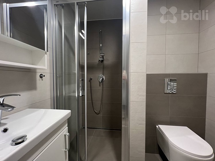 Pronájem bytu 1+kk 33 m² - foto 4