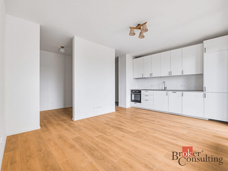 Pronájem bytu 1+kk 42 m² - foto 1