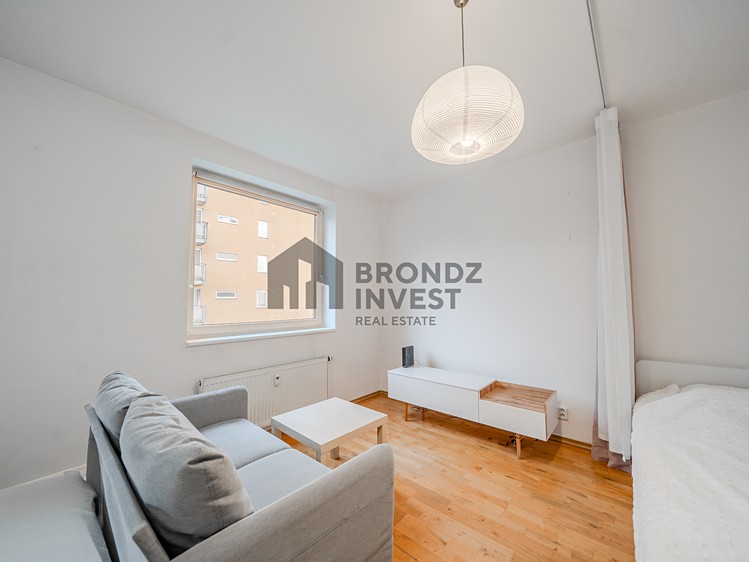 Pronájem bytu 1+kk 36 m² (Jednopodlažní) - foto 2