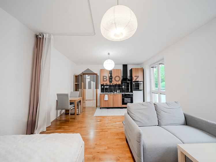 Pronájem bytu 1+kk 36 m² (Jednopodlažní) - foto 1