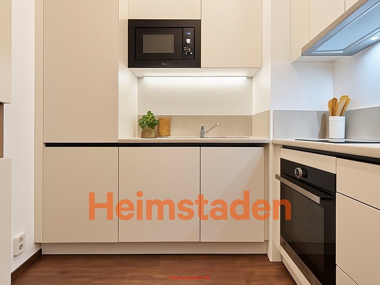 Pronájem bytu 2+1 46 m² - foto 4