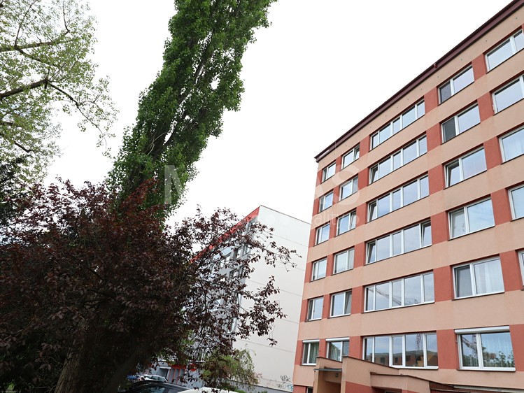 Pronájem bytu 3+1 71 m² - foto 1