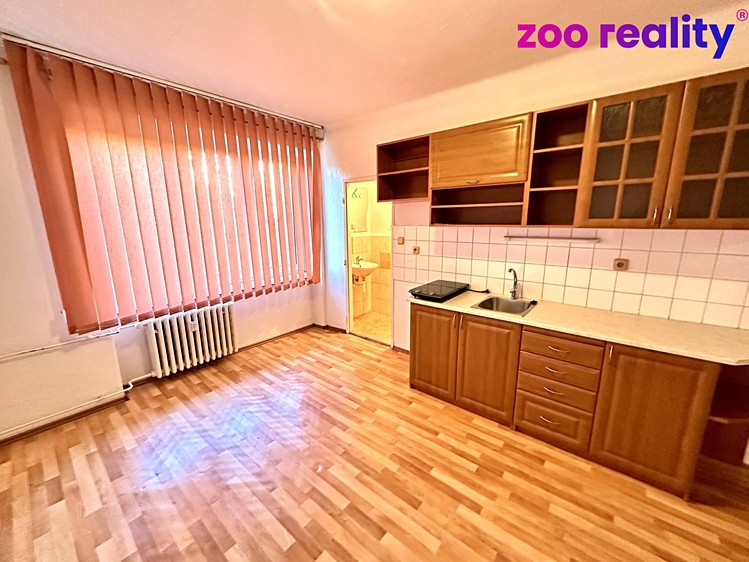 Pronájem bytu 1+kk 21 m² - foto 4