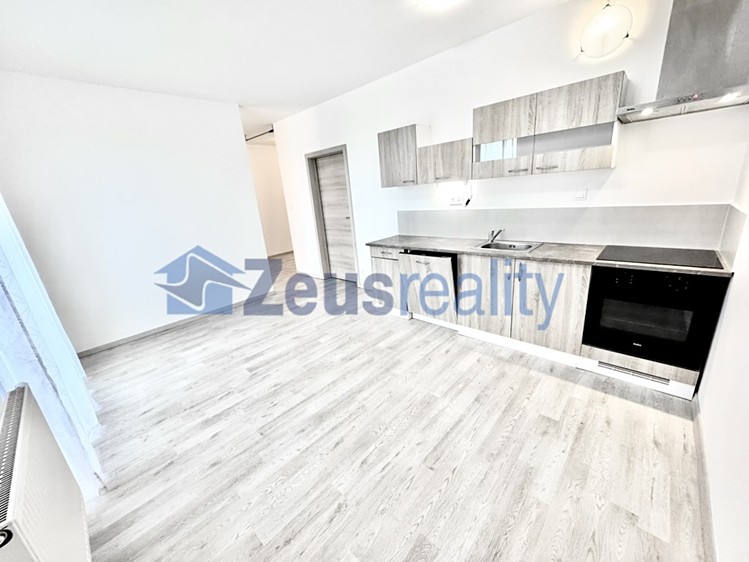 Pronájem bytu 1+1 39 m² - foto 5