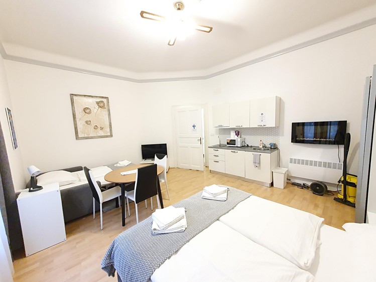 Pronájem bytu 1+kk 30 m² - foto 2