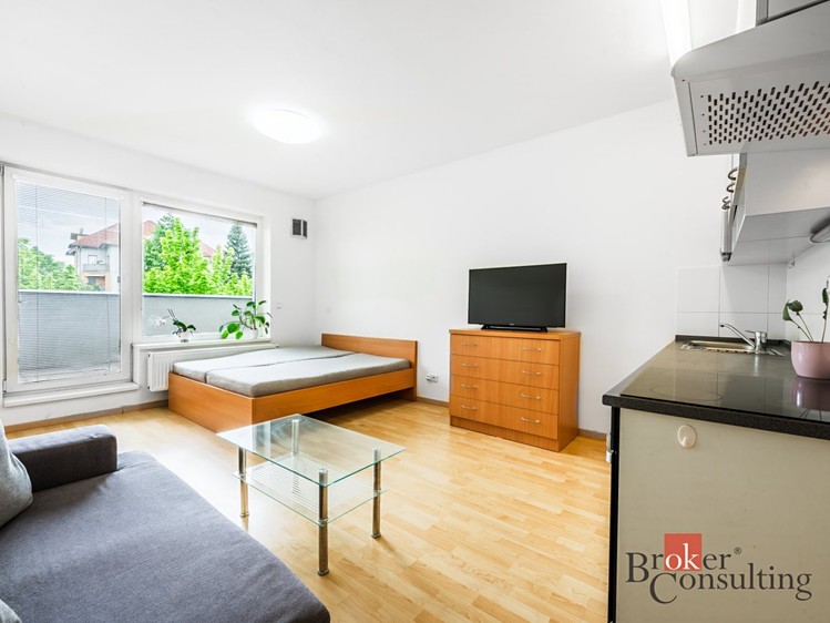 Pronájem bytu 1+kk 35 m² - foto 4