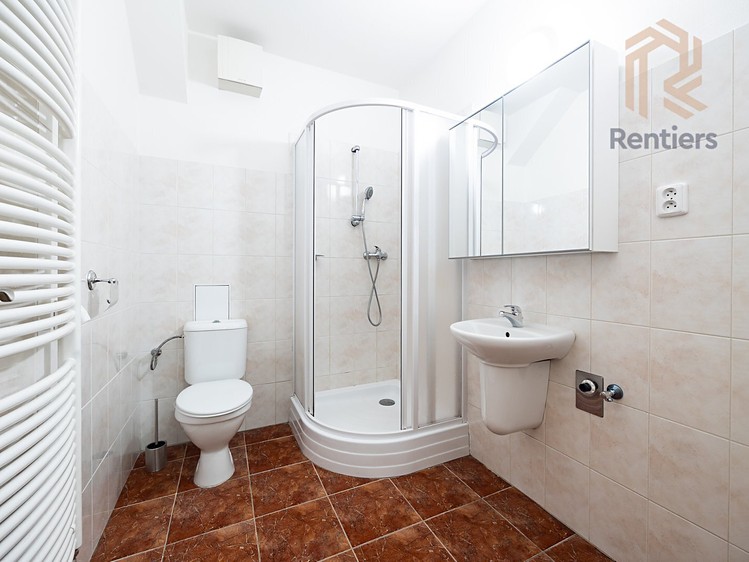 Pronájem bytu 2+kk 47 m² - foto 8
