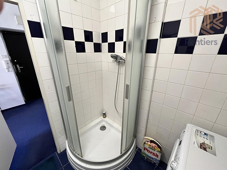 Pronájem bytu 1+kk 41 m² - foto 4