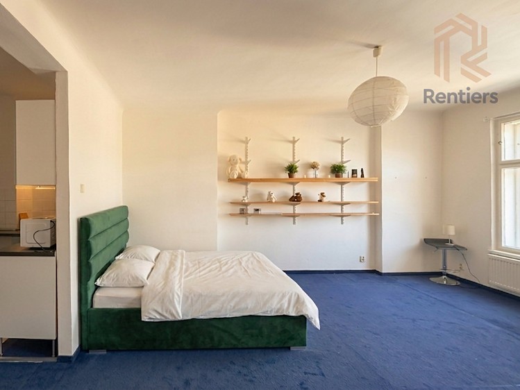 Pronájem bytu 1+kk 41 m² - foto 3