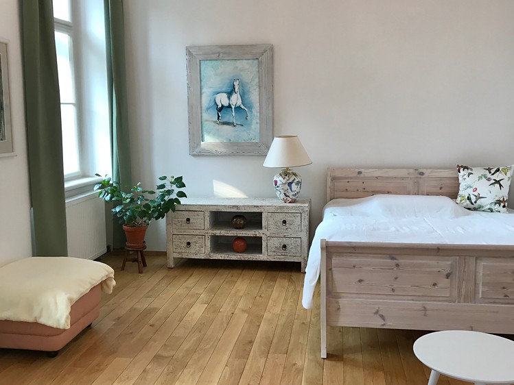 Pronájem bytu 1+1 36 m² (Jednopodlažní) - foto 5