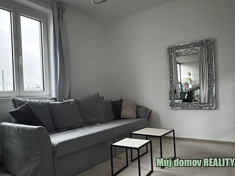 Pronájem bytu 1+kk 46 m² (Jednopodlažní) - foto 4