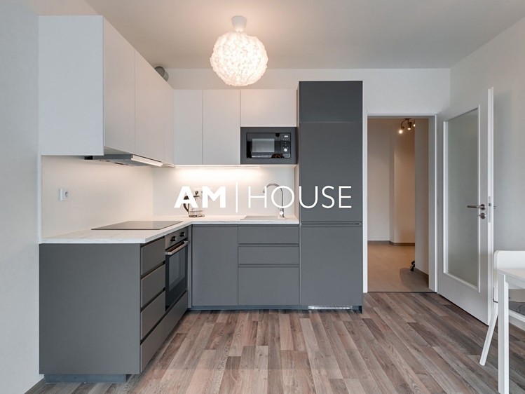 Pronájem bytu 1+kk 38 m² - foto 3