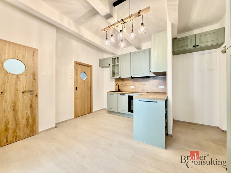 Pronájem bytu 2+1 58 m² - foto 4