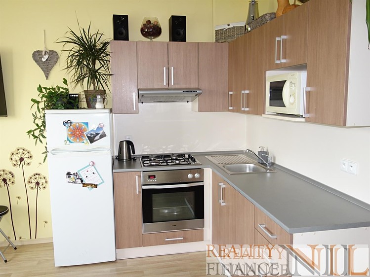 Pronájem bytu 1+1 38 m² - foto 2