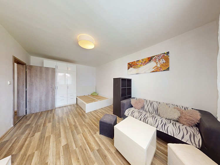 Pronájem bytu 1+1 37 m² (Jednopodlažní) - foto 3