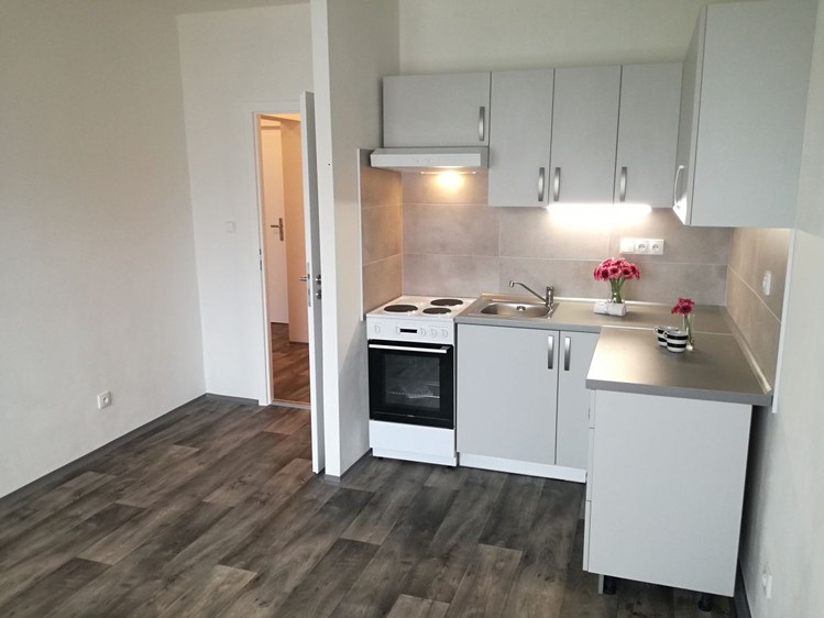 Pronájem bytu 2+kk 44 m² - foto 1