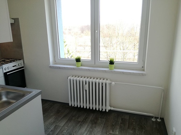 Pronájem bytu 1+1 39 m² - foto 8