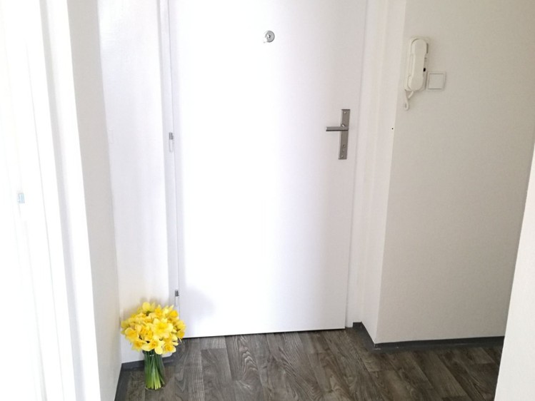 Pronájem bytu 1+1 39 m² - foto 5