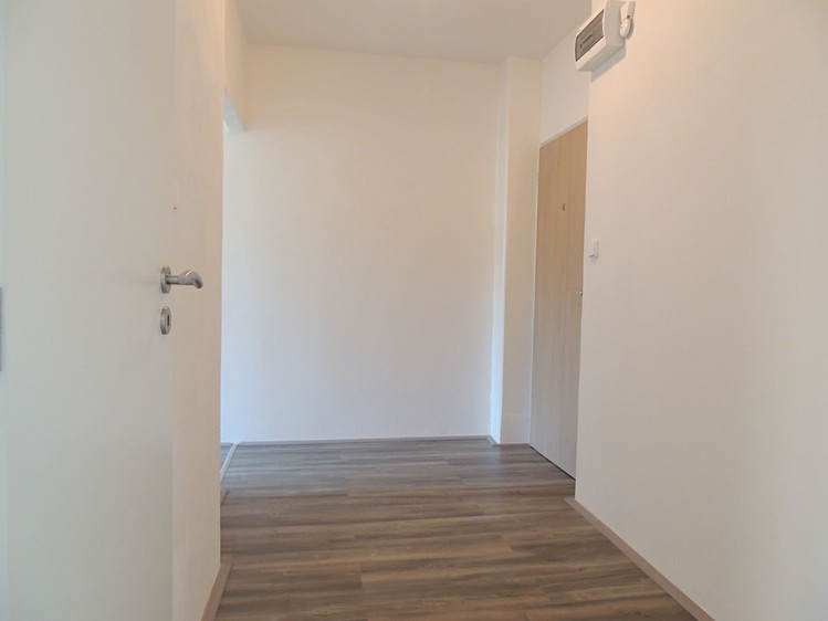 Pronájem bytu 1+1 40 m² - foto 4