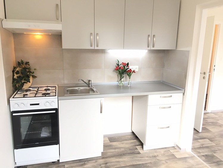 Pronájem bytu 2+1 44 m² - foto 1
