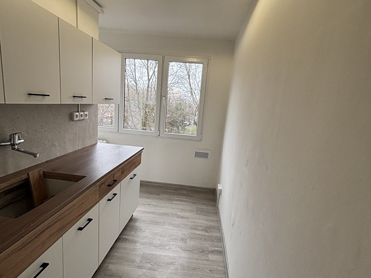Pronájem bytu 3+1 56 m² - foto 1