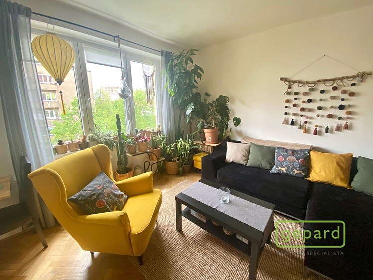 Pronájem bytu 2+kk 54 m² - foto 3