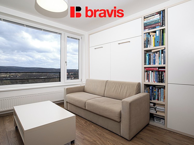 Pronájem bytu 1+kk 29 m² (Jednopodlažní) - foto 2