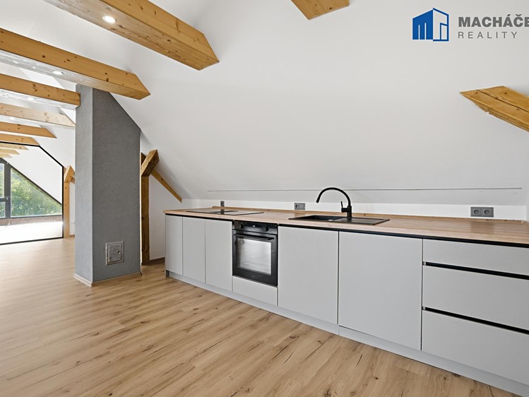 Pronájem bytu 5+kk 202 m² - foto 3