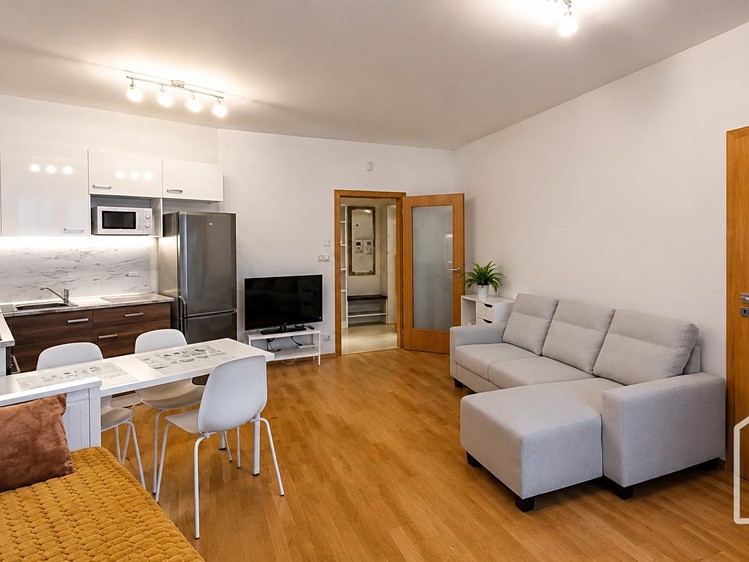 Pronájem bytu 1+kk 38 m² - foto 1