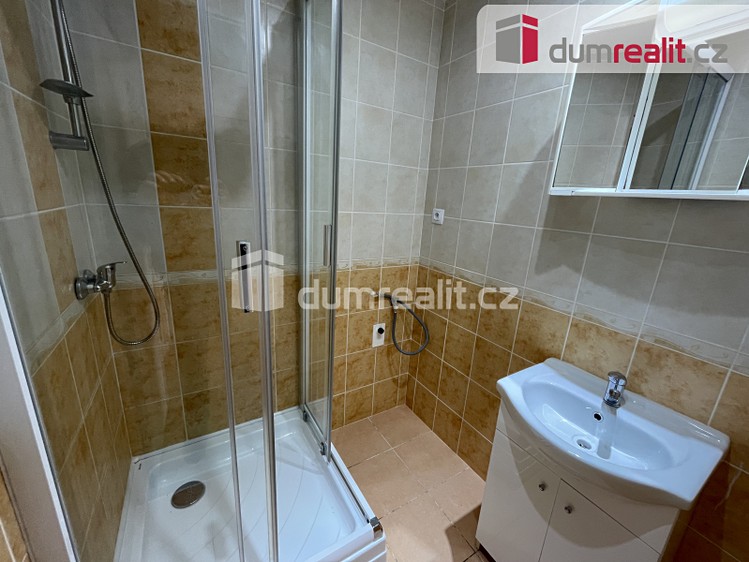 Pronájem bytu 3+1 57 m² - foto 4