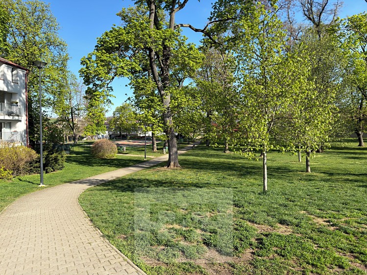 Pronájem bytu 1+kk 34 m² - foto 8