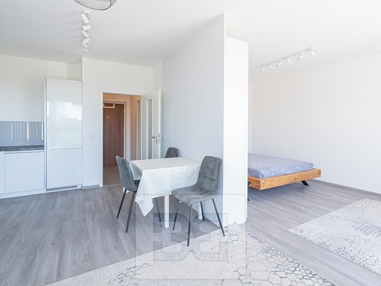Pronájem bytu 1+kk 44 m² - foto 6