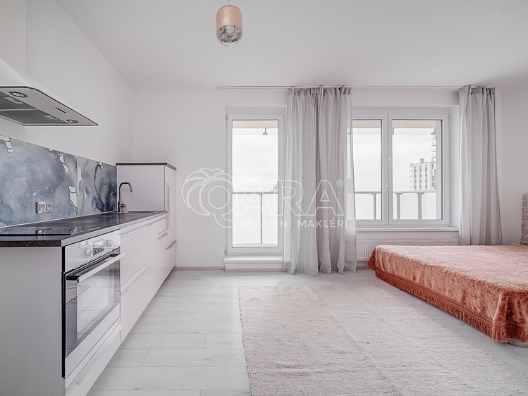 Pronájem bytu 1+kk 30 m² (Jednopodlažní) - foto 4