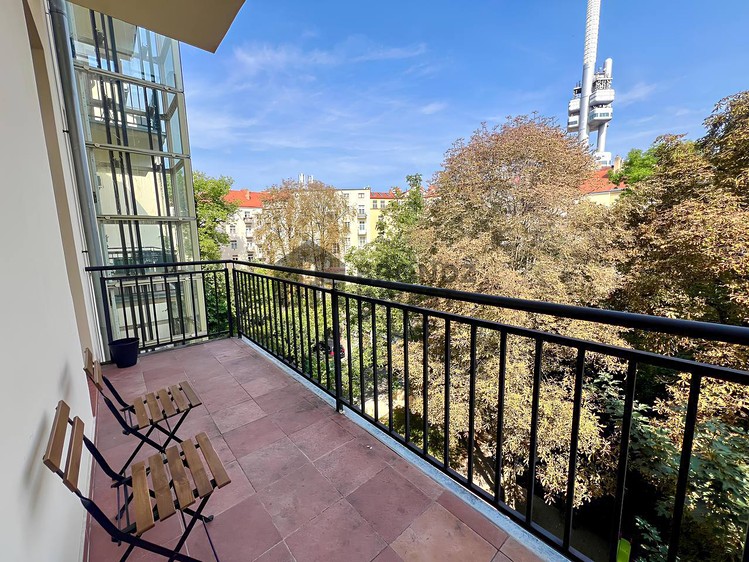 Pronájem bytu 2+kk 50 m² (Jednopodlažní) - foto 4
