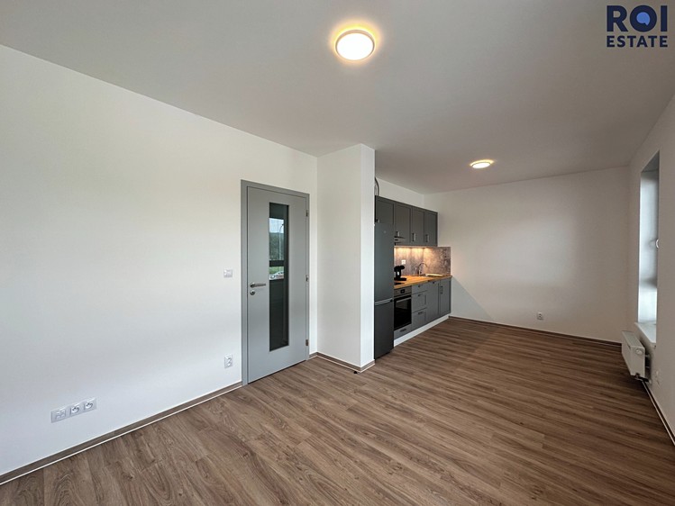 Pronájem bytu 1+kk 33 m² - foto 4