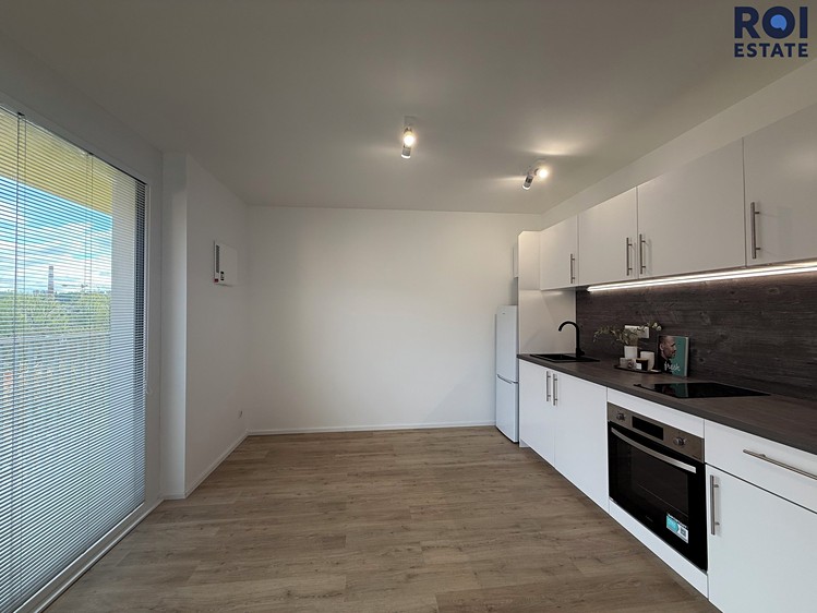 Pronájem bytu 1+kk 29 m² (Jednopodlažní) - foto 3