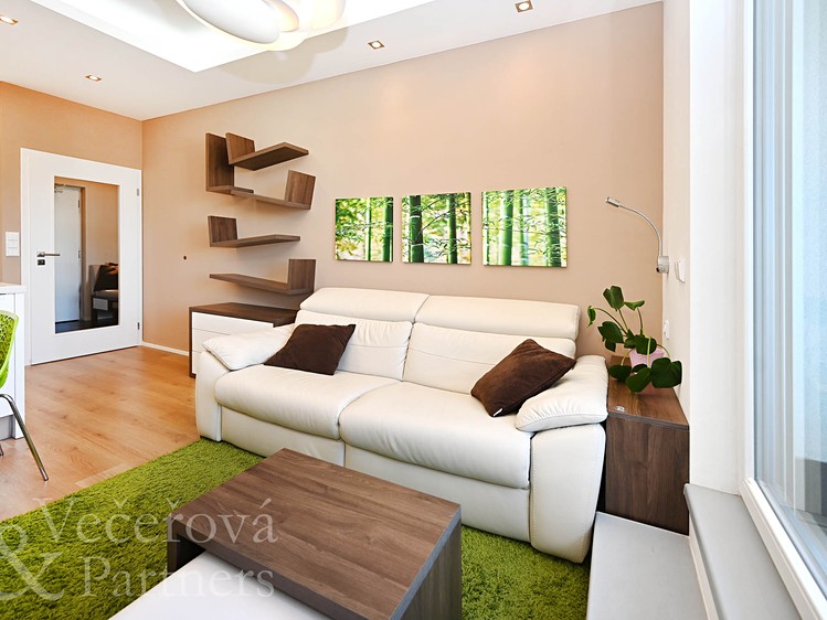 Pronájem bytu 2+kk 43 m² - foto 8