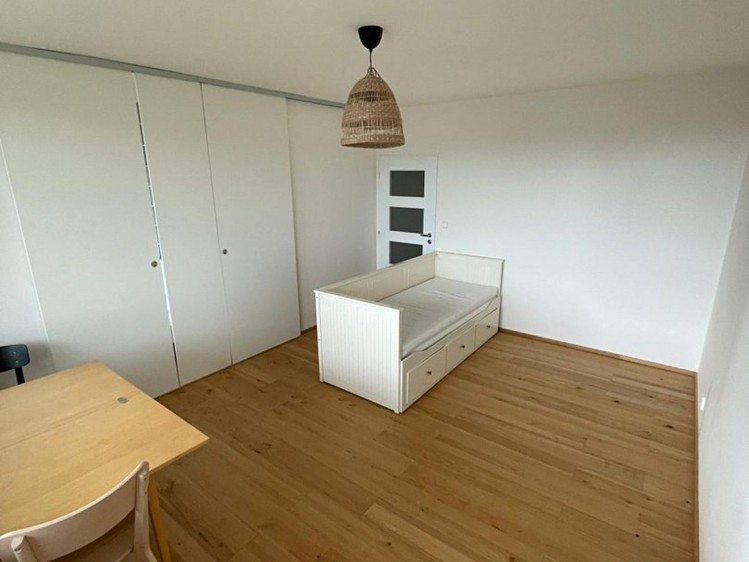 Pronájem bytu 1+1 56 m² - foto 1