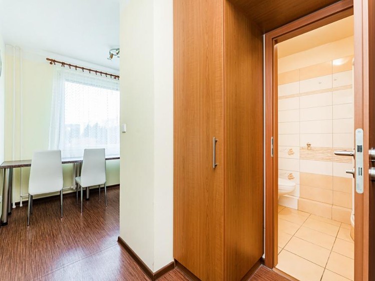 Pronájem bytu 1+1 35 m² - foto 6