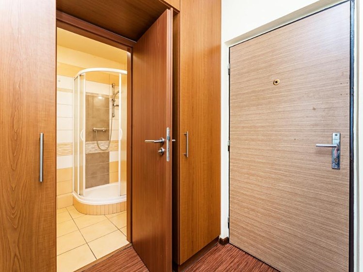 Pronájem bytu 1+1 35 m² - foto 7
