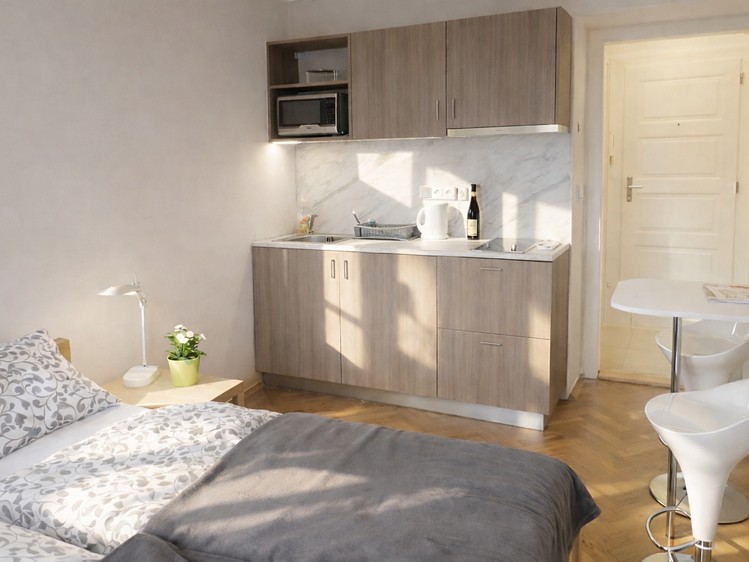 Pronájem bytu 1+kk 25 m² - foto 3