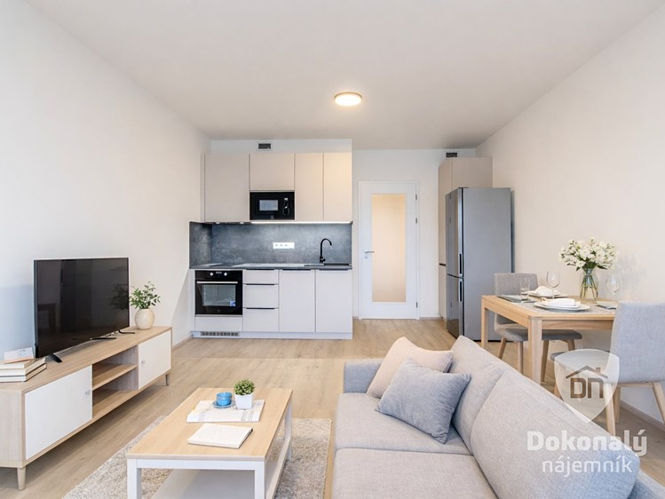 Pronájem bytu 1+kk 33 m² - foto 1