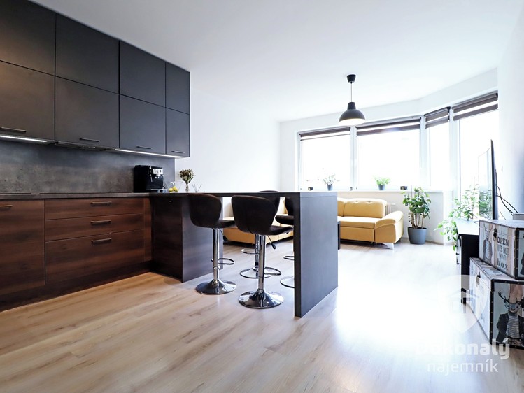 Pronájem bytu 2+kk 58 m² - foto 3