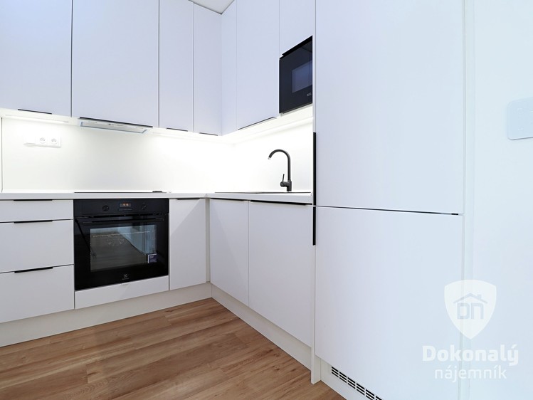 Pronájem bytu 1+kk 47 m² - foto 3