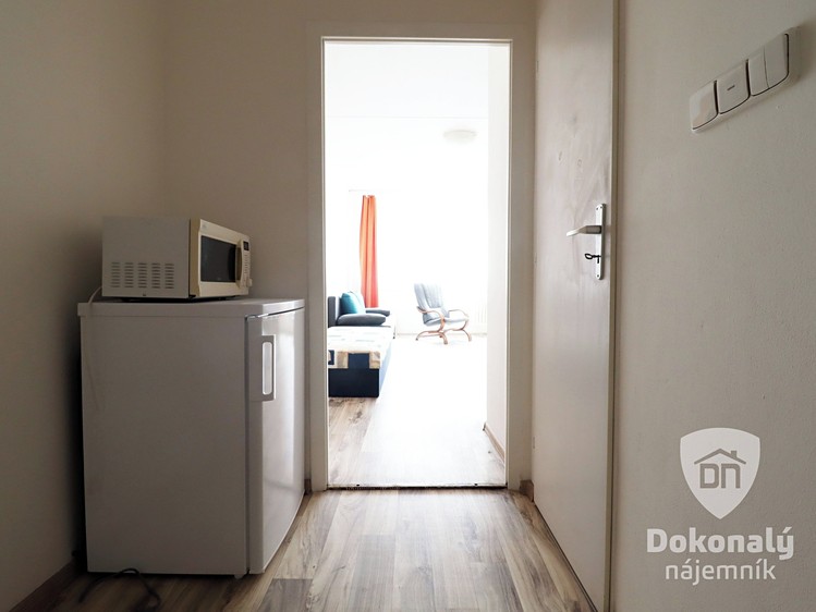 Pronájem bytu 1+kk 29 m² - foto 5