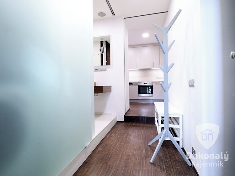 Pronájem bytu 1+kk 50 m² - foto 4