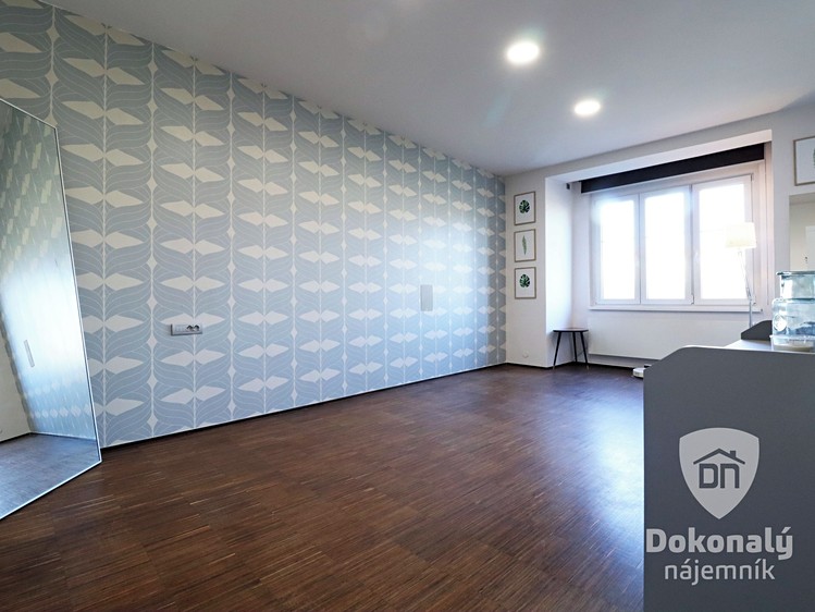 Pronájem bytu 1+kk 50 m² - foto 8